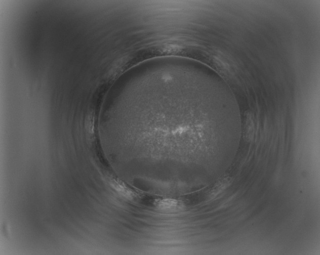 X0000072970230200607211231