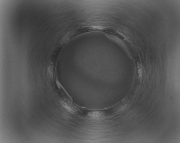 X0000072970231200607211231