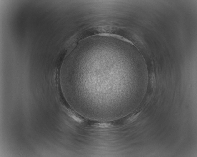 X0000072970233200607211231