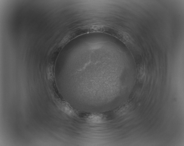 X0000072970236200607211231