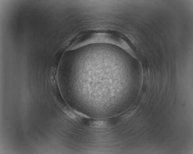 X0000072970237200607211231