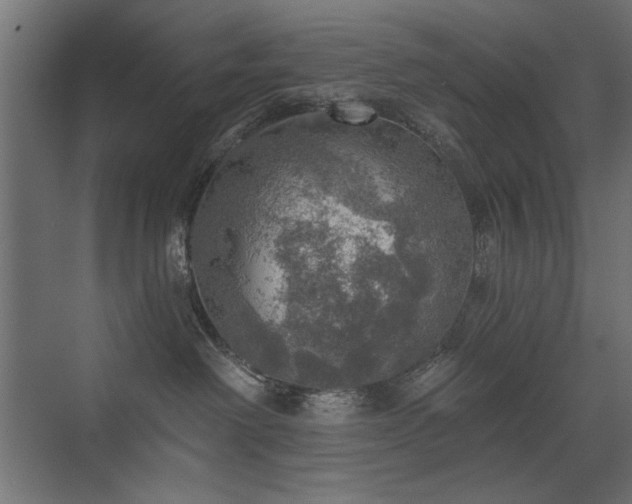 X0000072970238200607211231