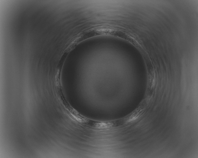 X0000072970239200607211231