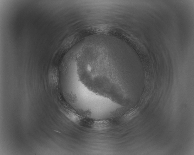 X0000072970240200607211231