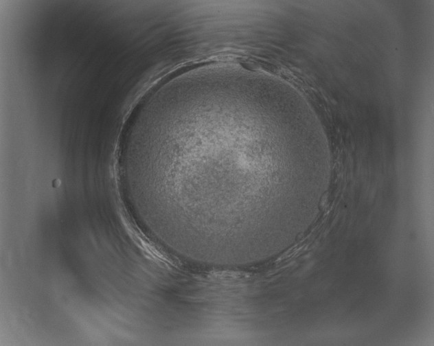 X0000072970242200607211230