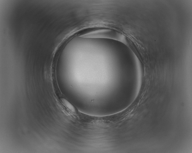 X0000072970244200607211230