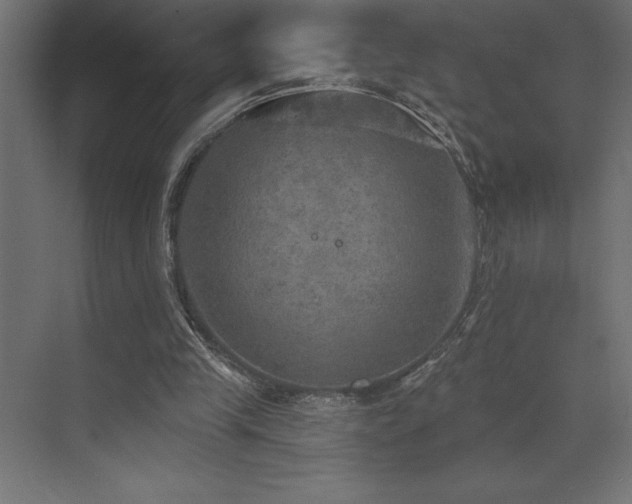 X0000072970245200607211230