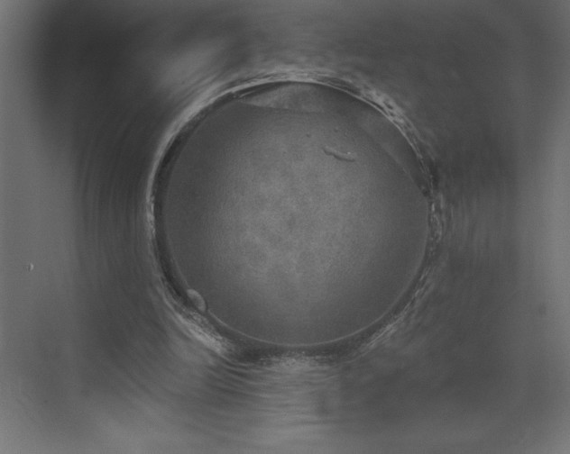 X0000072970246200607211230