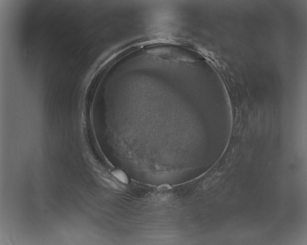 X0000072970247200607211230