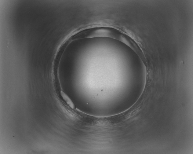 X0000072970248200607211230