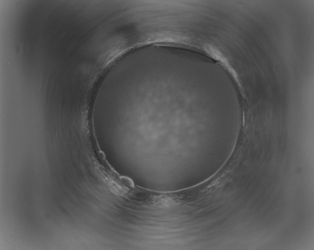 X0000072970249200607211231