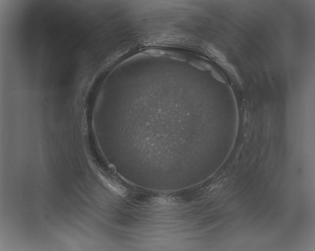 X0000072970250200607211231