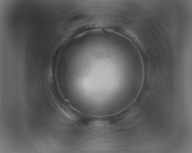 X0000072970251200607211231