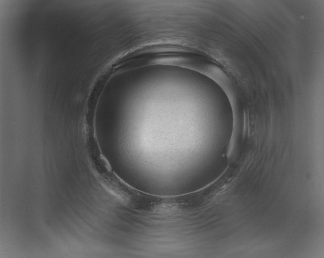 X0000072970252200607211231