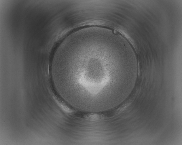 X0000072970253200607211231