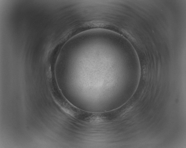 X0000072970254200607211231