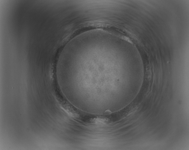 X0000072970255200607211231