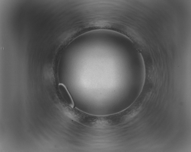 X0000072970256200607211231