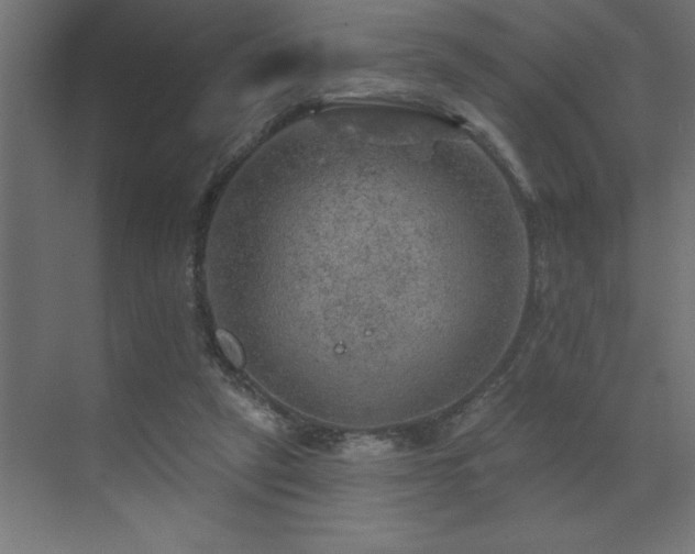 X0000072970257200607211231