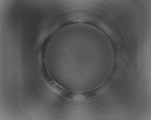 X0000072970258200607211231