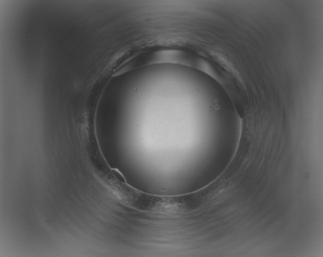 X0000072970260200607211231