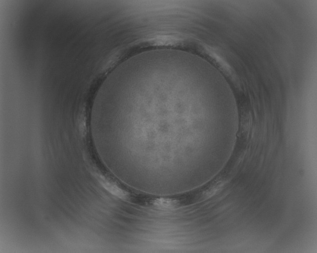 X0000072970261200607211231