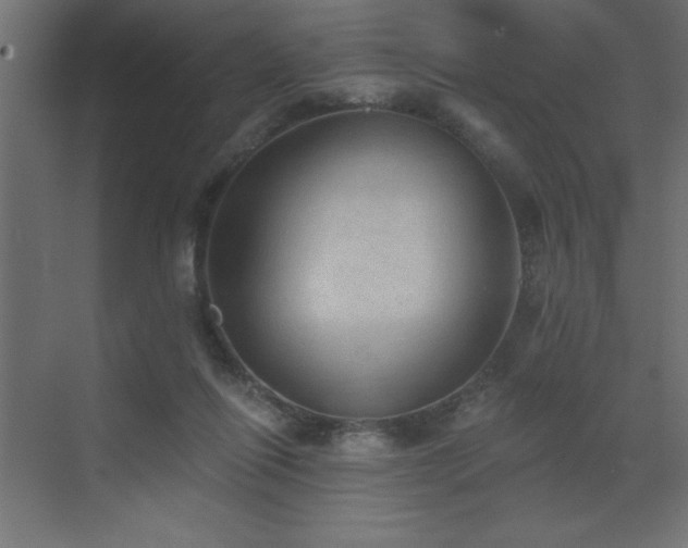 X0000072970262200607211231