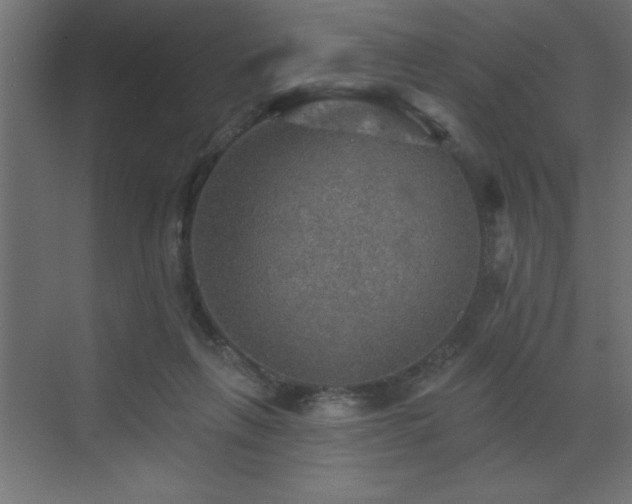 X0000072970263200607211231