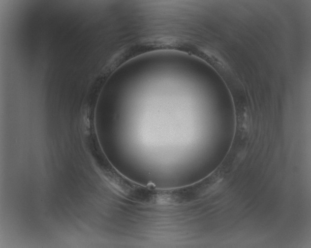 X0000072970264200607211231