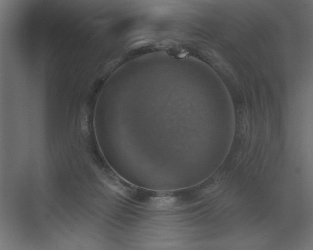 X0000072970266200607211231