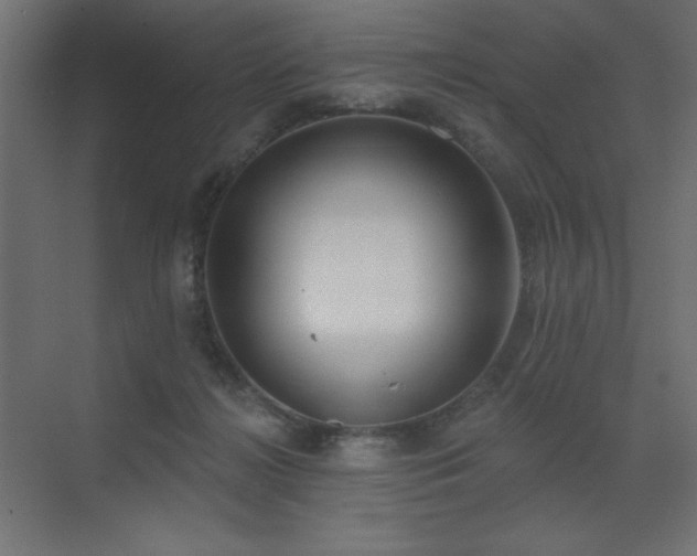 X0000072970268200607211231