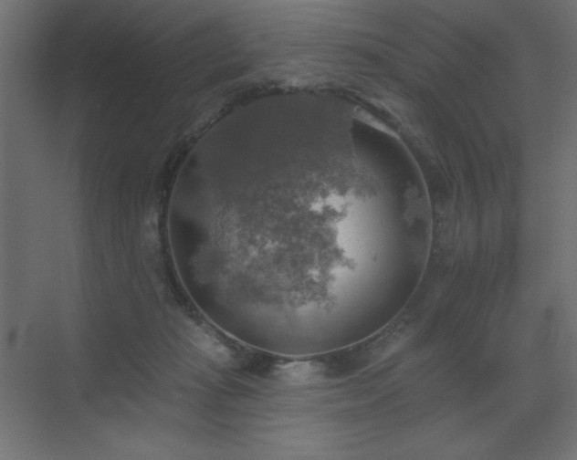 X0000072970269200607211231