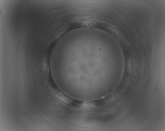 X0000072970270200607211231