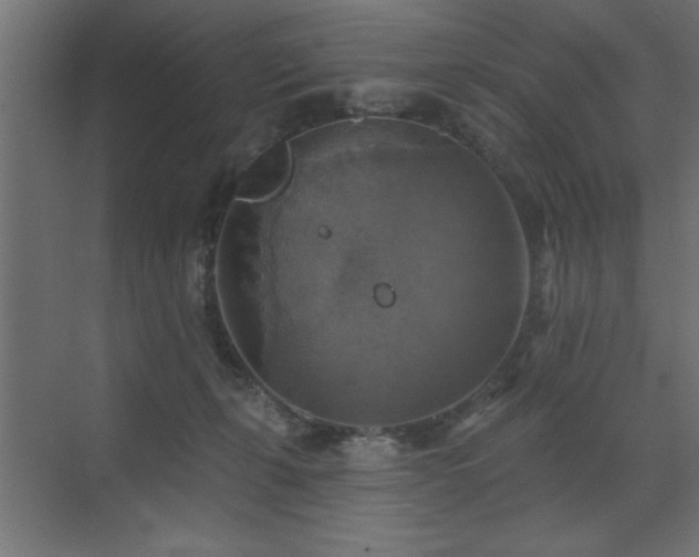 X0000072970271200607211231