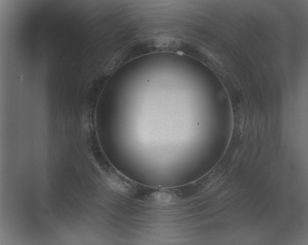 X0000072970272200607211231