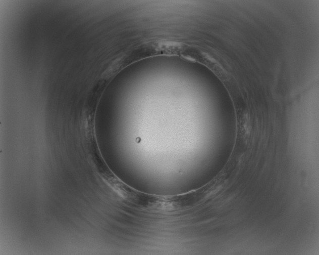 X0000072970276200607211231