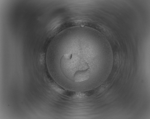 X0000072970278200607211231