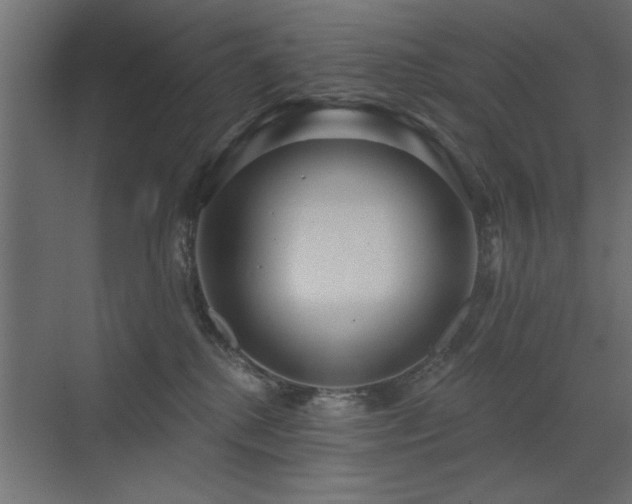 X0000072970280200607211231