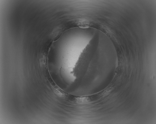 X0000072970281200607211231