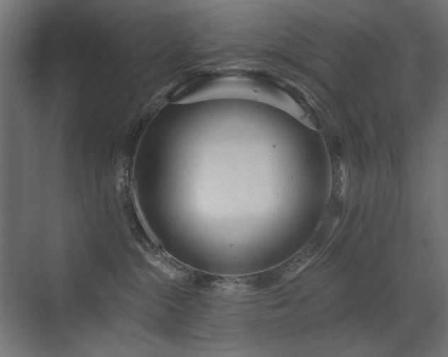 X0000072970284200607211231