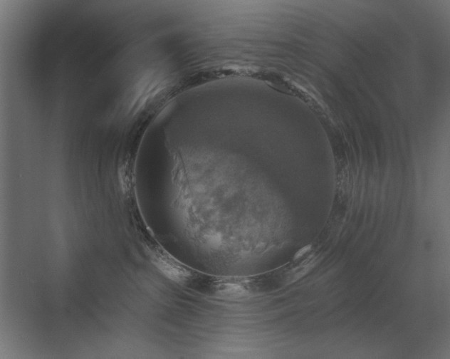 X0000072970285200607211231