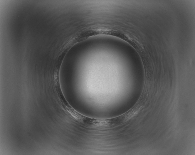 X0000072970288200607211231