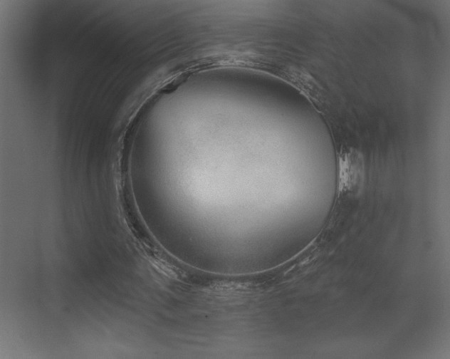 X0000072970291200607211230