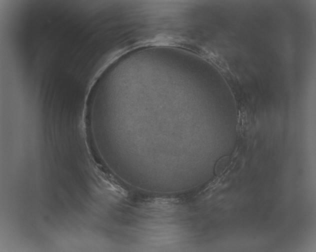 X0000072970292200607211230