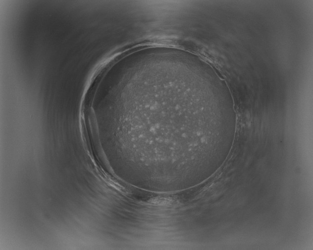 X0000072970294200607211230