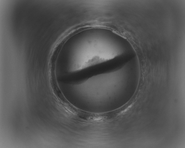 X0000072970295200607211230