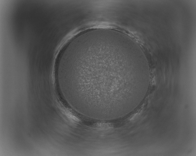 X0000072970296200607211230