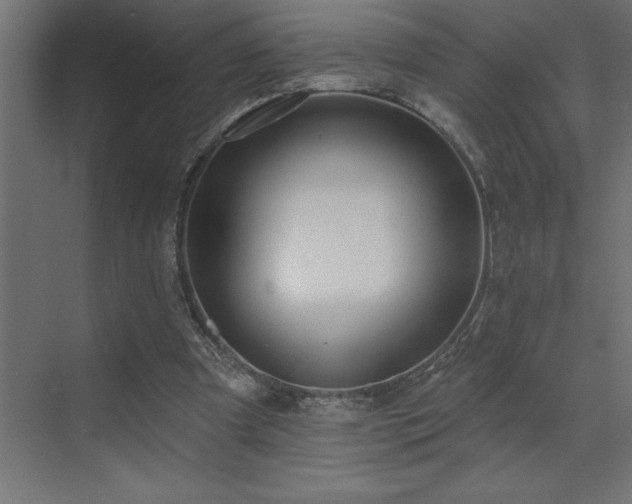 X0000072970297200607211230