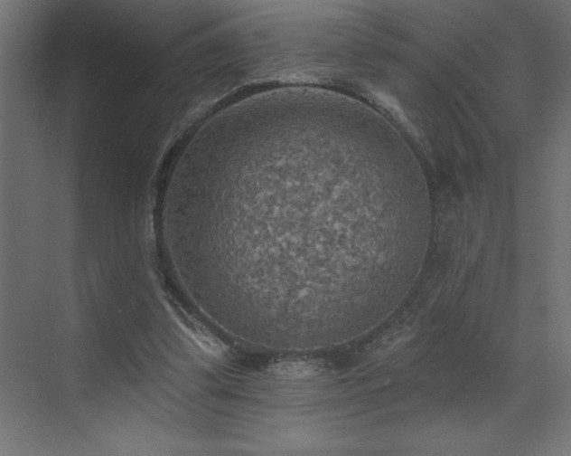 X0000072970299200607211230