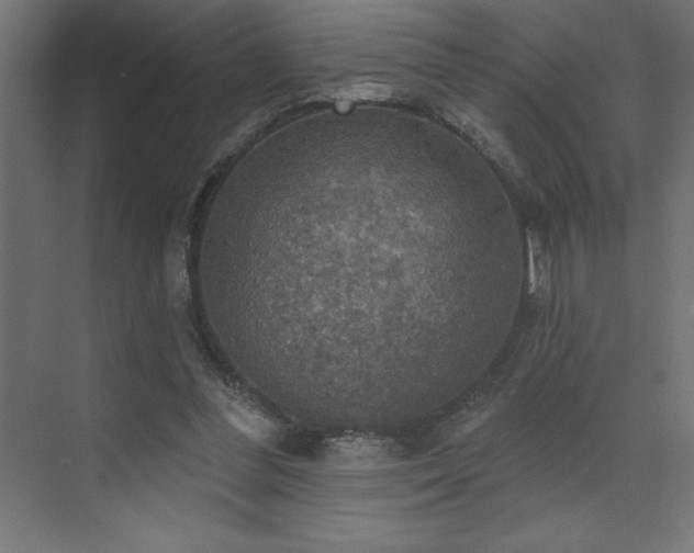 X0000072970300200607211230